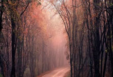 超凡国际：羽毛球真正的胜利，是把身边的人都“拉入坑”.