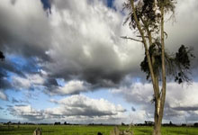 超凡国际：本赛季42场16球7助攻！马竞官方为格列兹曼34岁生日送上祝贺.