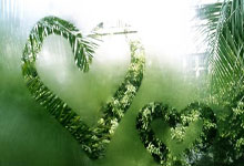 超凡国际：德甲-古维鲁头球制胜布兰特进球被吹 多特0-1奥格斯堡.